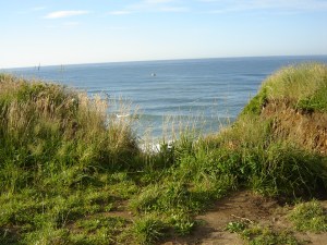 071011_early_fishing