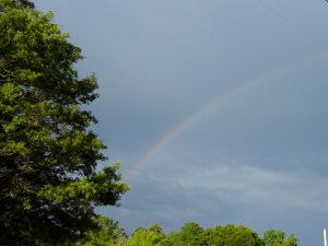 rainbow