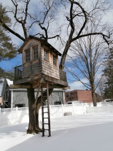 Concord Academy Treehouse
