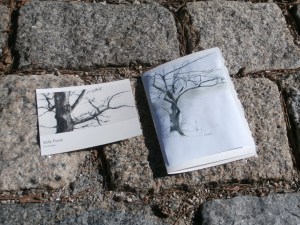 trees-by-sally-frank