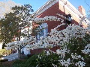 spray of white at bank