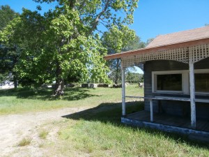 abandoned-farmstand