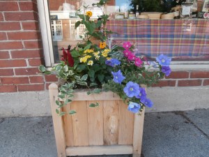 flowers-at-cheese-shop