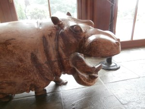 tower-hill-hippo