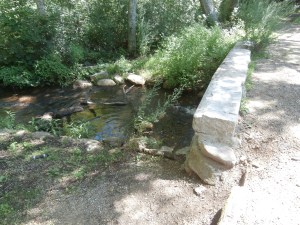 hapgood-wright-town-forest