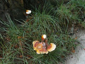 something-is-below-the-surface