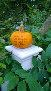 return-stolen-pumpkin