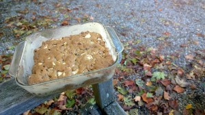 tracy-lee-karner-apple-cake