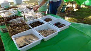 to-make-fairy-castles