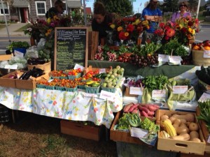 101213-autumn-bounty