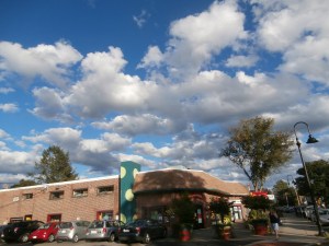 OLYMPUS DIGITAL CAMERA