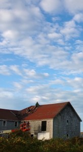 roofing-the-barn