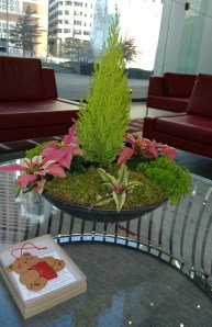 All-Things-Bright-bear