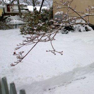 New-England-snow-2013