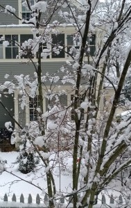 011814-fluffy-surprise