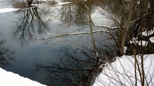 branch-snow-water-sky
