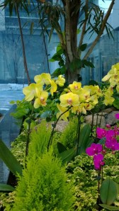 warm-inside-cold-outside