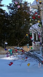 021414-hearts-in-tree