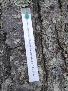 stealth-poetry-project