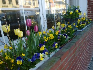 flower-box-april-12-14