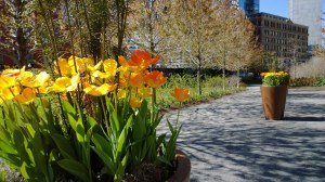 050614-Greenway-Boston