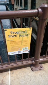 Agoos-Tropical-Fort-Point