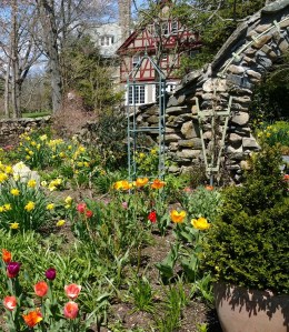 flowers-at-Blithewold