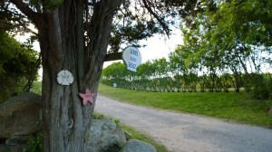 marine-house-numbers