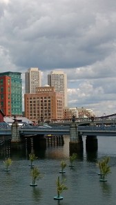 palm-trees-visit-Boston