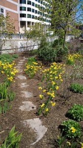 spring-in-the-Greenway