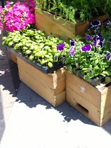 060314-farmers-market