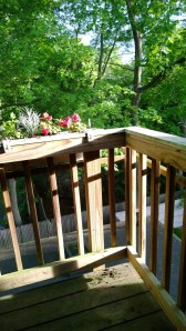 balcony-early-morning