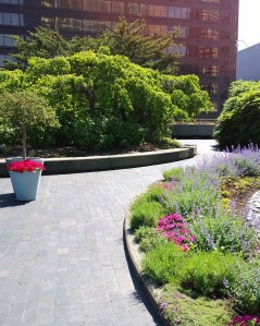 flowering-4th-floor-roof