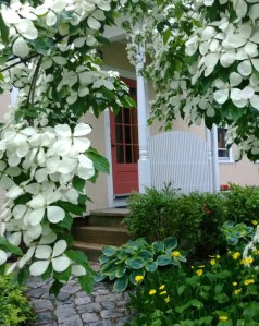 living-under-dogwood