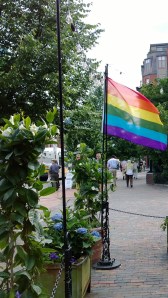 rainbow-flag-boston