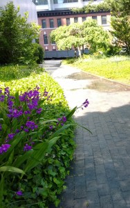 roof-garden-at-office-building