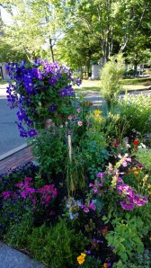 zen-ren-chuan-garden