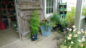 garden-supply-store