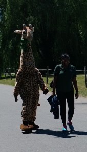 giraffe-costume
