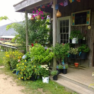 goose-and-garden-porch