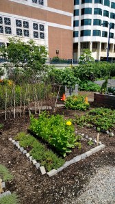 greenway-garden-july