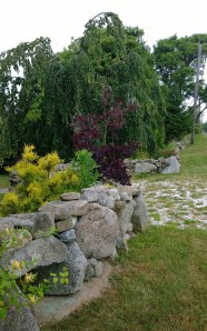 many-shades-of-green