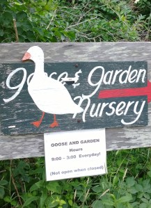 not-open-when-closed-sign