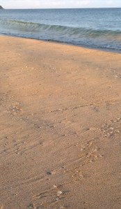 jellyfish-like-diamonds