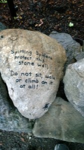 spider-warning-on-wall