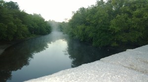 morning-mist