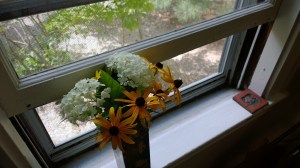 Window-and-summer-flowers