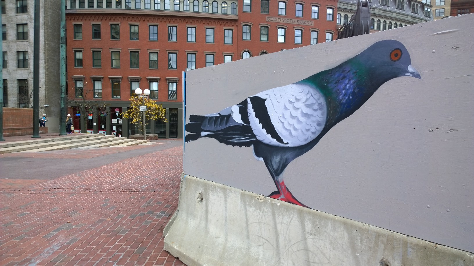 110714-a-pigeon-that-I-pass-alas