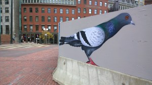 110714-a-pigeon-that-I-pass-alas