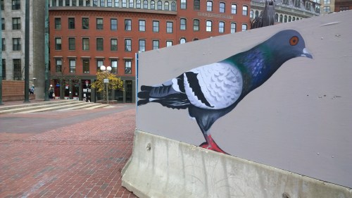 110714-a-pigeon-that-I-pass-alas
